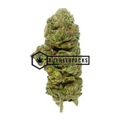 Gelato 41 - Online Dispensary Canada - Buyweedpacks