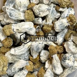 Golden Teachers Magic Mushrooms | Buy Online Weeds | Buyweedpacks