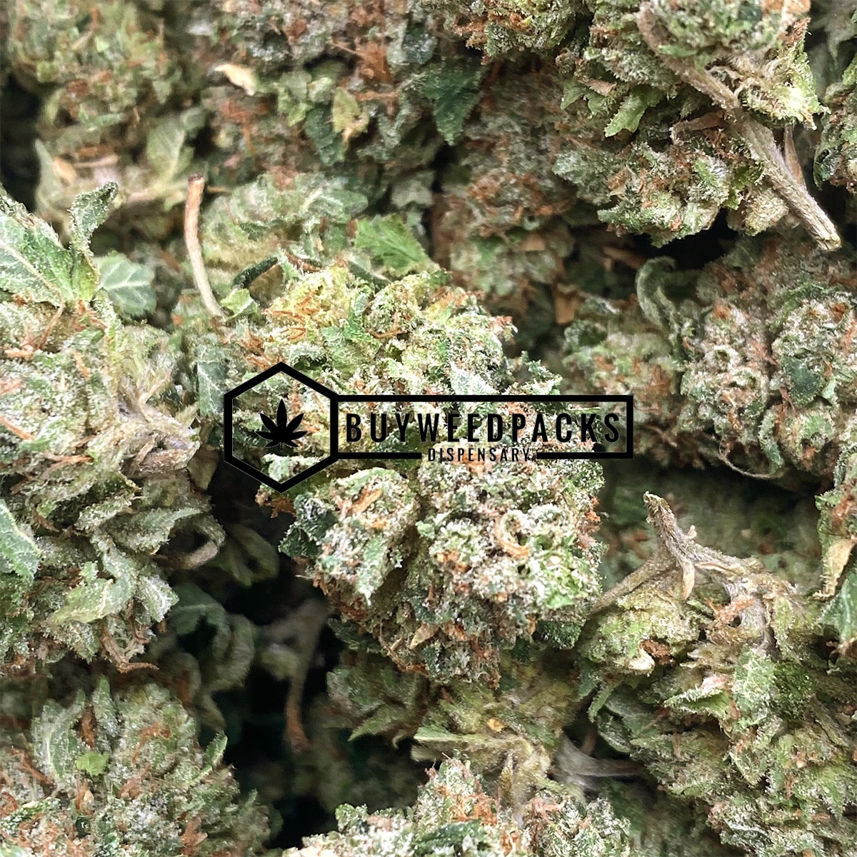 Grease Monkey - Online Dispensary Canada - Buyweedpacks