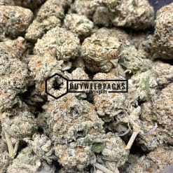 Green Gelato - Online Dispensary Canada - Buyweedpacks