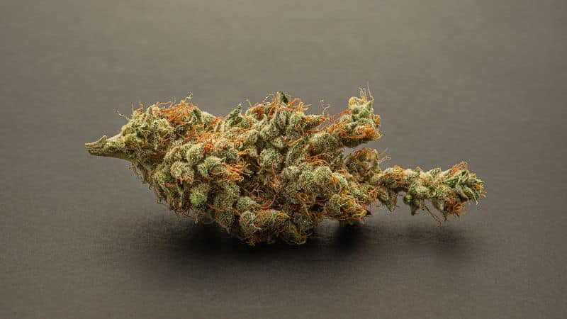 Indica (marijuana indica) strains are known for their sedative and calming effects.