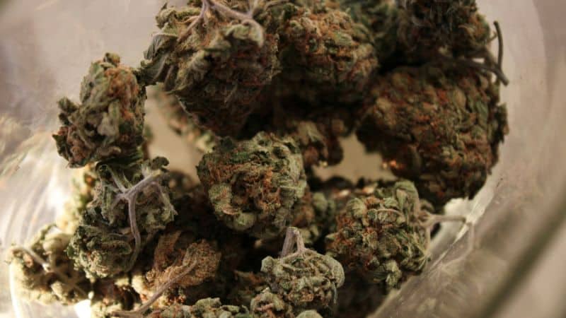 The process is quick, free, and onl⁠y takes a minute to sign up. Just visit the dispensary you like, create an account on the homepage by filling in your details, including your email address, name, and a password.