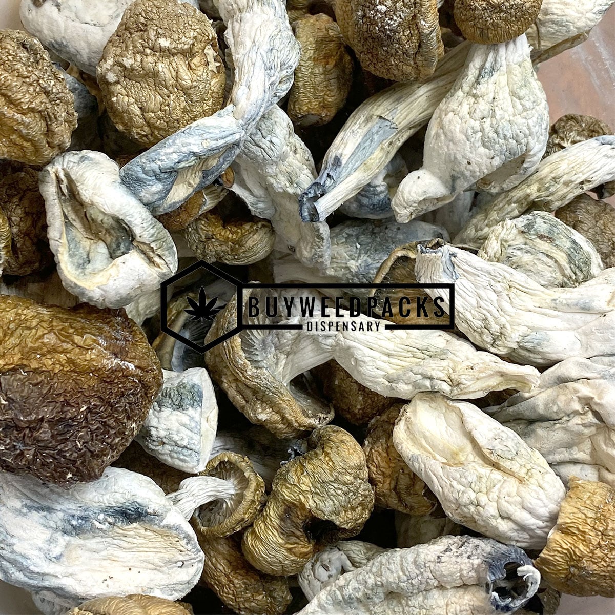 Makilla Gorilla Magic Mushrooms | Buy Online Weeds | Buyweedpacks