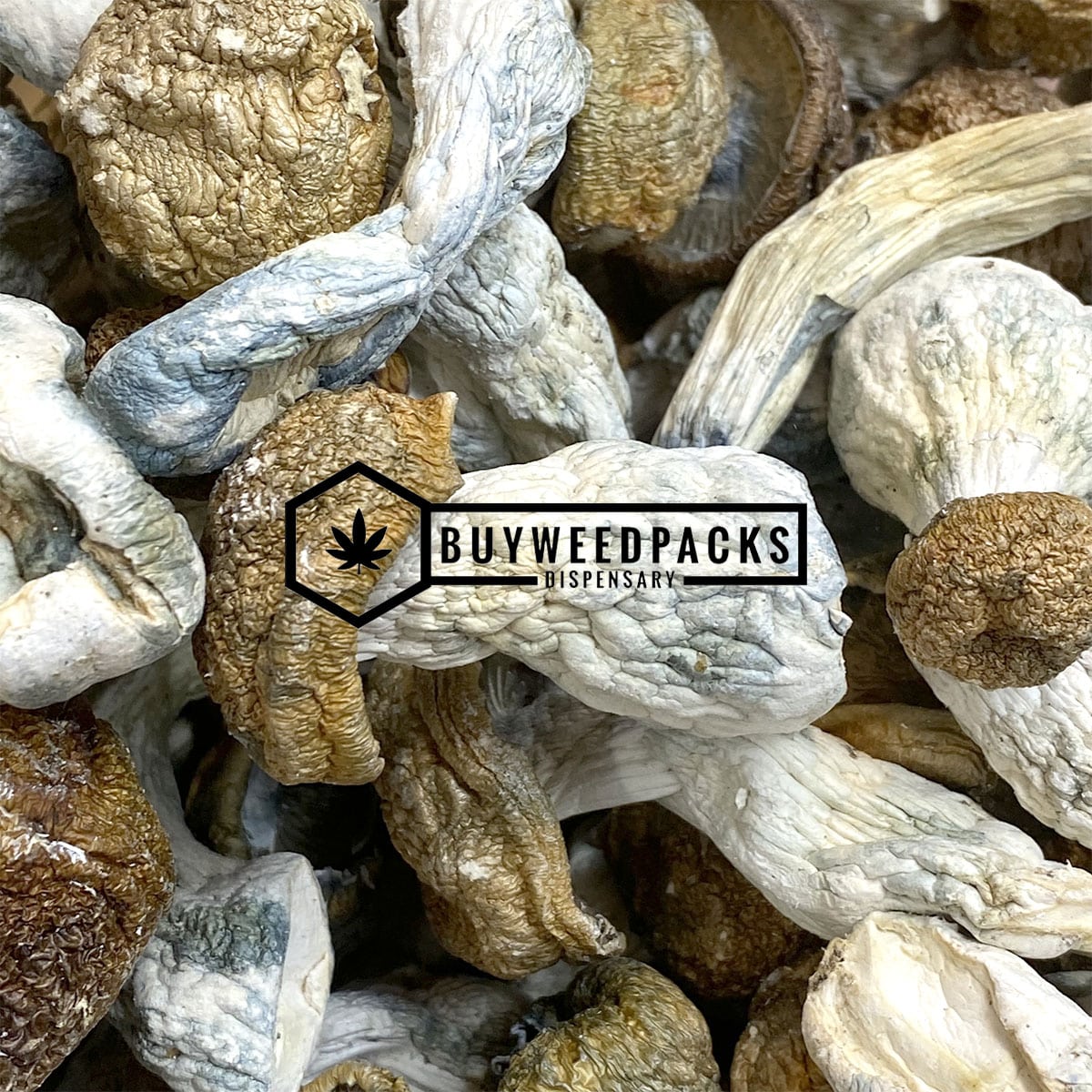 Makilla Gorilla Magic Mushrooms | Buy Online Weeds | Buyweedpacks