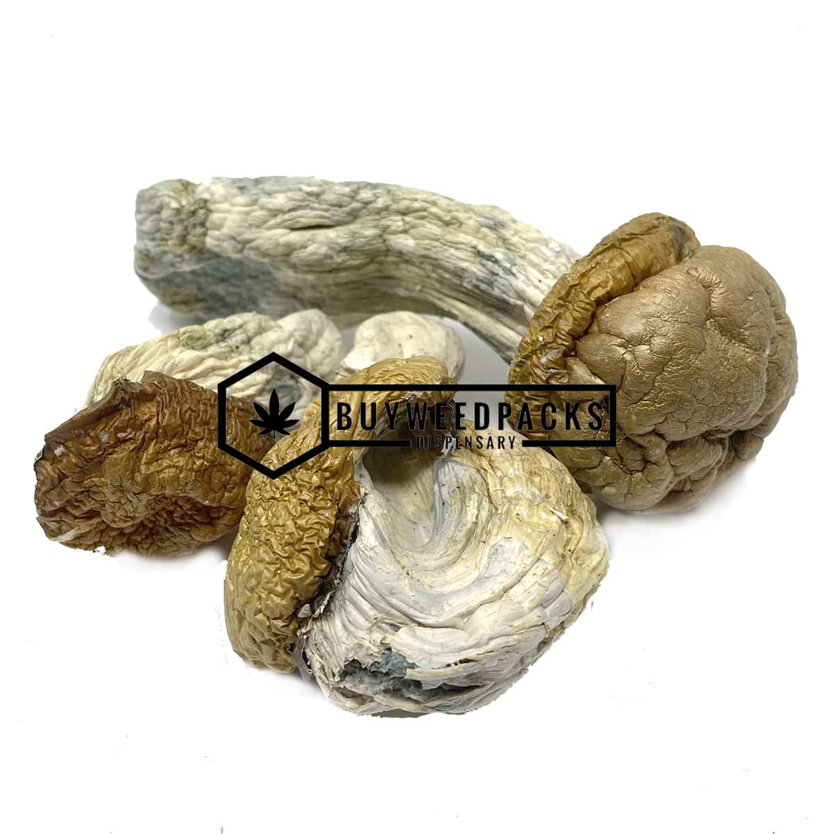 Makilla Gorilla Magic Mushrooms | Buy Online Weeds | Buyweedpacks