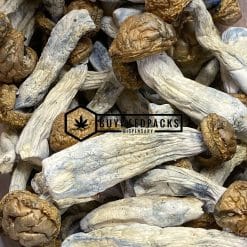 Makshak Magic Mushrooms | Buy Online Weeds | Buyweedpacks