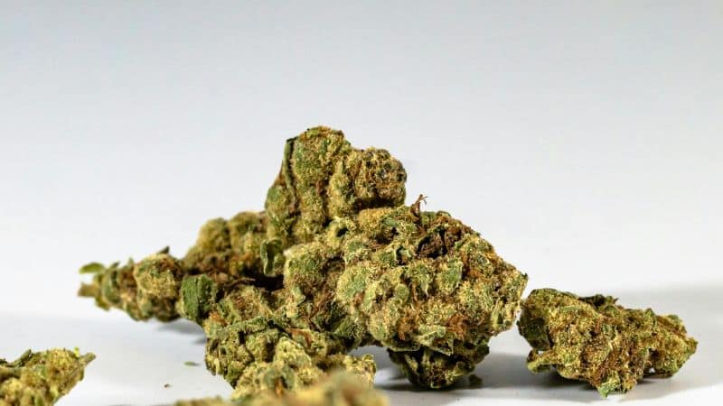 If you're looking for concentrates, Maui W⁠aui Live Resin is a solid pick⁠. It's a sativa-dominant extract with 81% THC content, and⁠ it is known for uplifting mood.