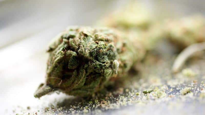 Moonrock cannabis is a new and highly potent preparation of cannabis, made by dipping a high-quality bud in hash oil and sprinkling it with kief crystals. 