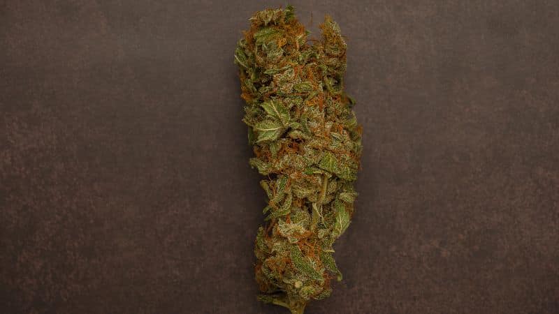 NYC Diesel is a potent sativa-dominant hybrid prominent for its Sour Diesel lineage.