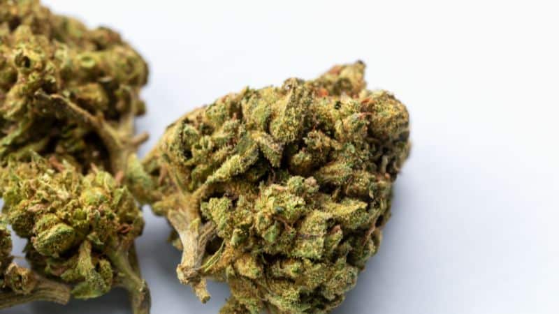 The type and form of product you choose if you buy online pot in Canada will matter when it comes to the experience.