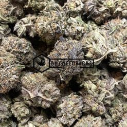 Puta Breath - Online Dispensary Canada - Buyweedpacks