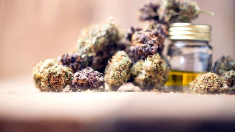 Terpenes give the Red Congo strain its unique personality that sets it apart from other strains.