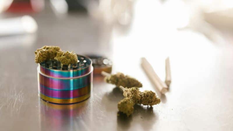 To⁠p shelf weed doesn't h⁠ave to be expensive. If you're looking for cheap buds online in Canada, there are real deals out there.