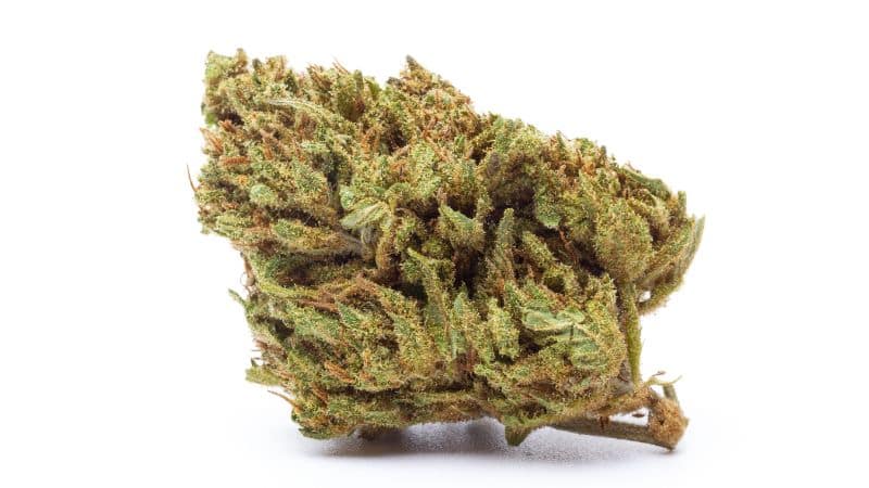 Terpenes are the compounds that give weed its unique flavours and aroma.