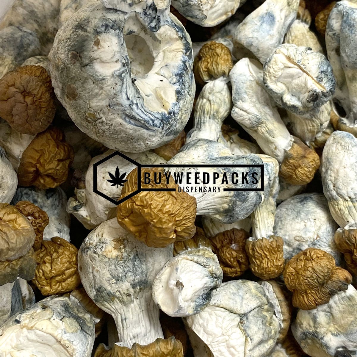 Buy Texas Yellow Cap Magic Mushrooms | Buy Online Weeds | Buyweedpacks
