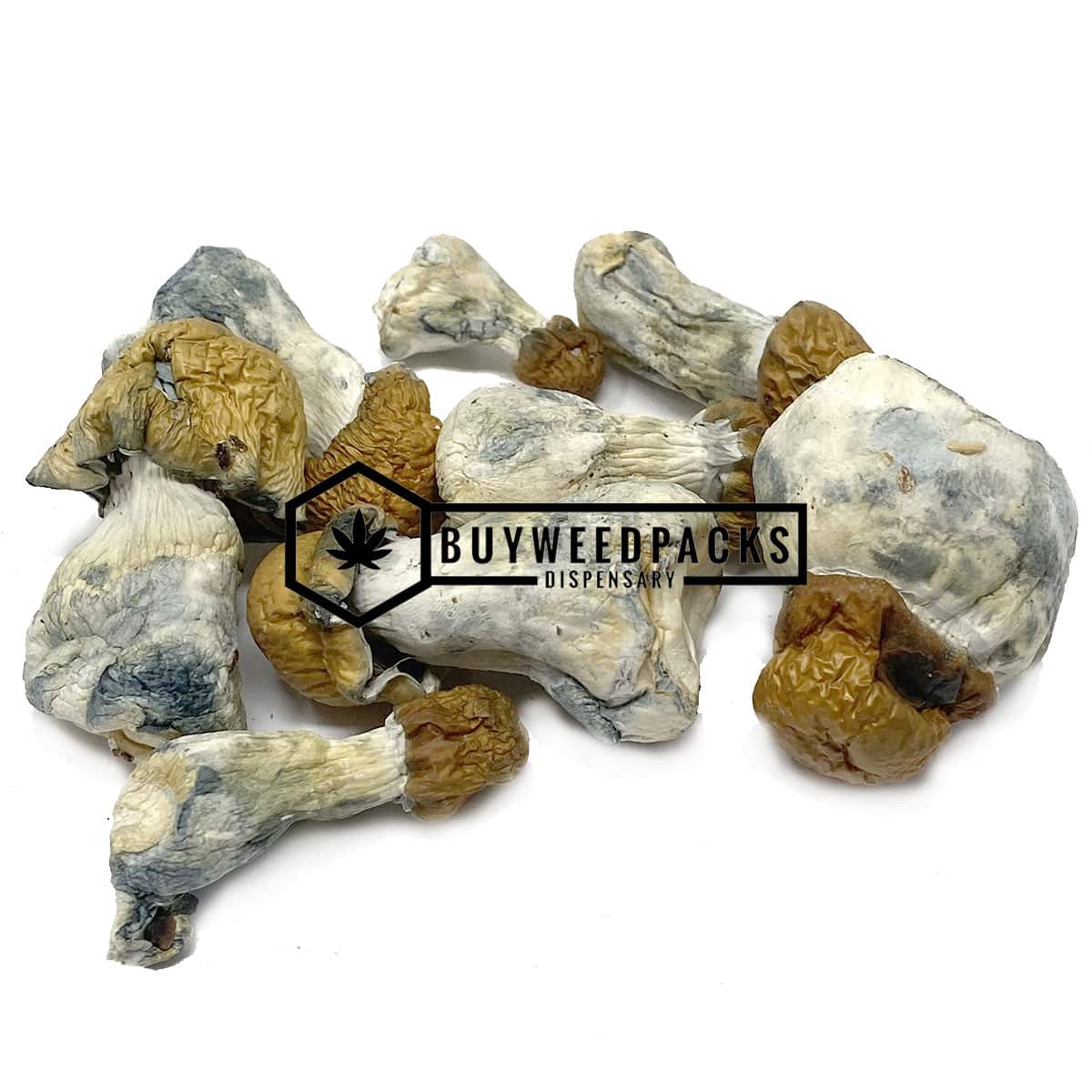 Buy Texas Yellow Cap Magic Mushrooms | Buy Online Weeds | Buyweedpacks