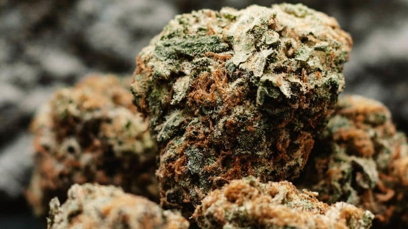 The Tom Ford strain, or the Pink Tom Ford strain, is an indica-dominant hybrid that leans heavily towards physical relaxation.