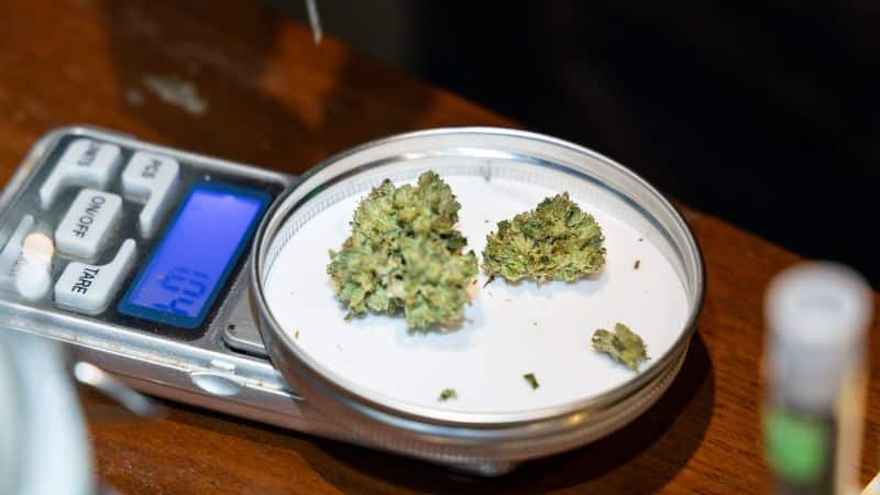 Lab tests and user reviews consistently peg it between 23% and 25%, with some premium batches exceeding the 25% mark. 