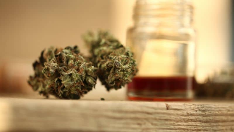 Buying cannabis from an online Canadian dispensary has become one of the most convenient and reliable ways to access quality cannabis.