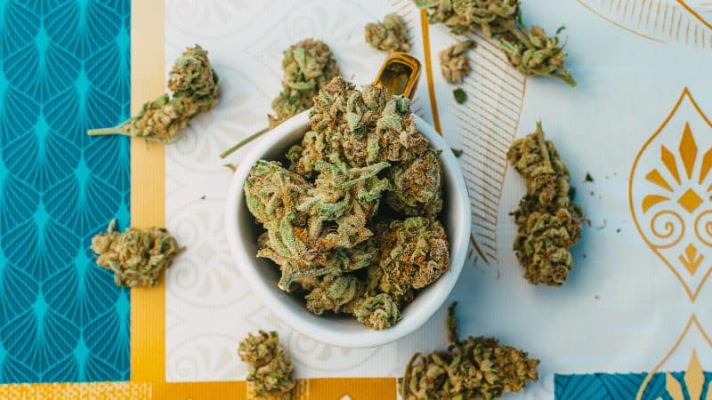 The best online dispensaries don't just offe⁠r one or two types o⁠f bud brownies. They stock different strengths, flavours,⁠ and sizes, so you ca⁠n find what fits your needs.