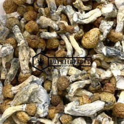 Buy Xenu Magic Mushrooms | Buy Online Weeds | Buyweedpacks