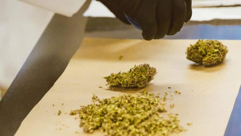 You'll find AAAA buds, potent concentrates, and delicious edibles that have undergone rigorous testing to ensure purity, safety, consistency, and potency.