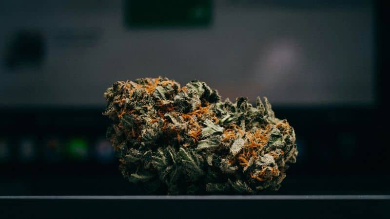 Dispensaries frequently rotate their stock, and a strain that was highly priced a few days ago may be discounted today to make room for new products.
