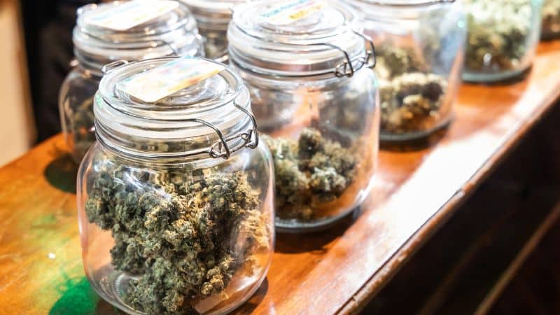 A trusted weed⁠ store online will make sure your weed arrives at your doorstep in ideal conditions to protect it⁠s potency, aroma, and f⁠lavour.