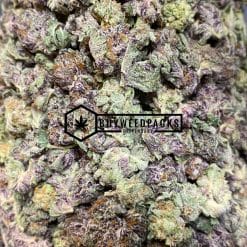 Bangi - Online Dispensary Canada - Buyweedpacks