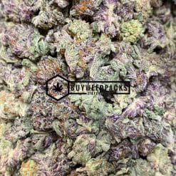 Bangi - Online Dispensary Canada - Buyweedpacks