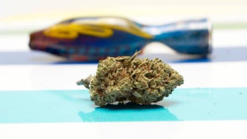 Explore the legendary Durban Poison strain in our in-depth review. Learn about its effects, benefits, & where to buy it online in Canada.