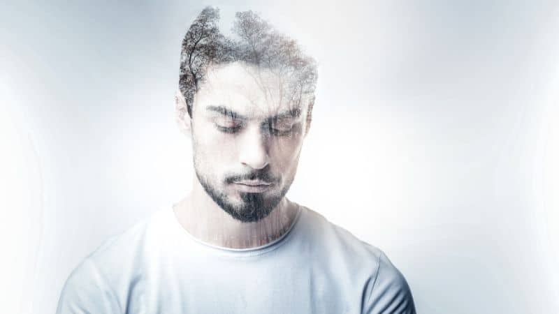 Durban Poison offers a clear-headed and energetic high. 