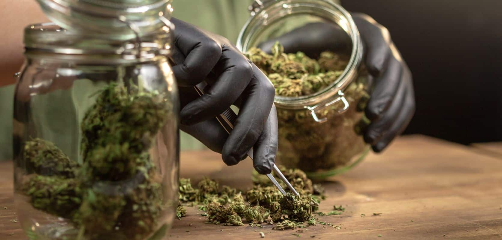 BuyWeedPacks dispensary isn’t just about shipping cannabis, but we support Winnipeg’s cannabis culture with premium cannabis and dependable service.