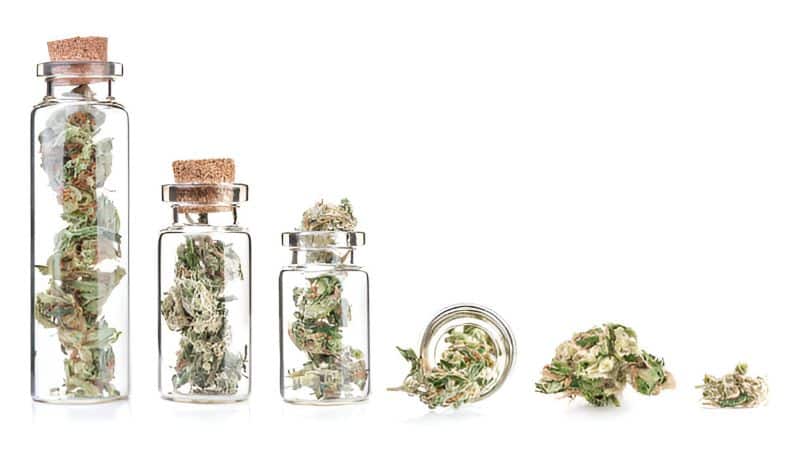 When you buy hash online in Canada, don’t assume all the products on the market have the same potency levels.