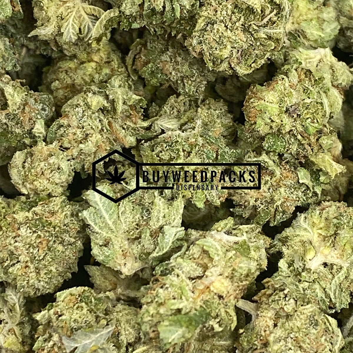 Ghost OG - Online Dispensary Canada - Buyweedpacks
