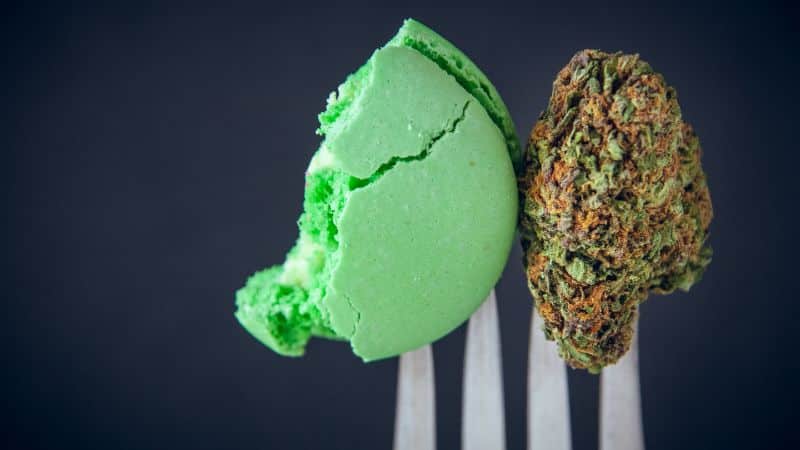 Ice Cream Cake brings together the best of Gelato #33 and Wedding Cake, creating a delicious, flavourful masterpiece that’s always on the top shelf weed category.