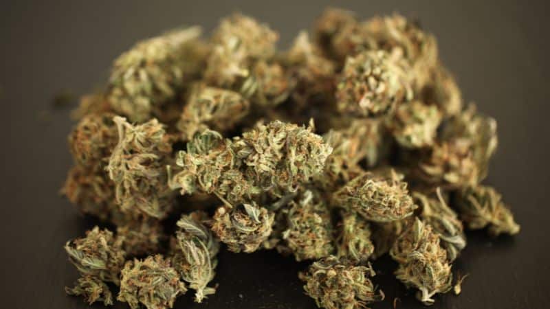 These strains hit with heavy body effects that make couches feel extra soft and blankets extra cozy. 