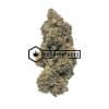 Jack Frost - Online Dispensary Canada - Buyweedpacks