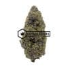 Jungle Grapes - Online Dispensary Canada - Buyweedpacks