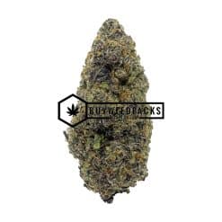 Jungle Grapes - Online Dispensary Canada - Buyweedpacks