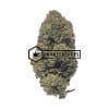 LA Kush - Online Dispensary Canada - Buyweedpacks
