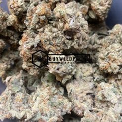 Lemon Cake - Online Dispensary Canada - Buyweedpacks