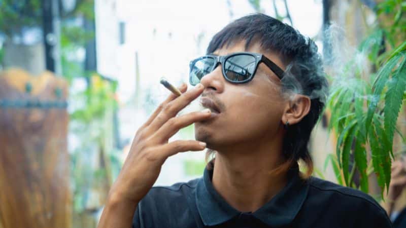 When I smoke the Mac 10 strain, the high hits quickly. 