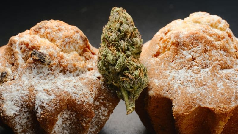 Most batches I’ve come across test between 25% and 30% THC. This makes it one of the strongest hybrids you can order at an online weed dispensary today. 