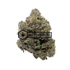 Mataro Blue - Online Dispensary Canada - Buyweedpacks