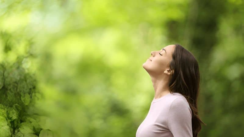 The euphoric head high lifts heavy thoughts and replaces them with calm, positive energy.