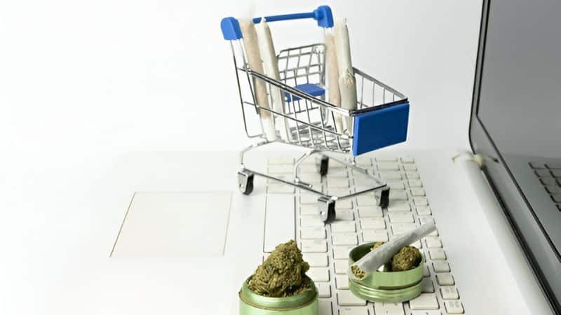 Sour OG weed is a timeless strain that provides you with a bit of everything, including versatility, balance, flavour, and potency.