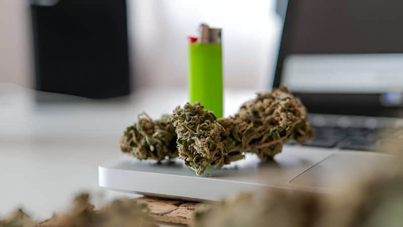 The demand for variety, affordability, and, most importantly, accessibility is what helps make more and more people opt for online pot in Canada. 