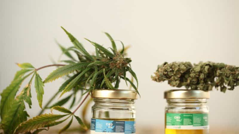 Pink Kush is one of the best indica strains at our online weed dispensary. Enthusiasts like this bud for its potent body high and piney, woody, and floral aroma.