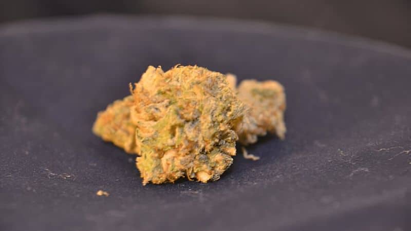 It has a pungent, diesel-like smell and a cerebral, uplifting high. This pairs well with piney, earthy, and deeply calming nature.